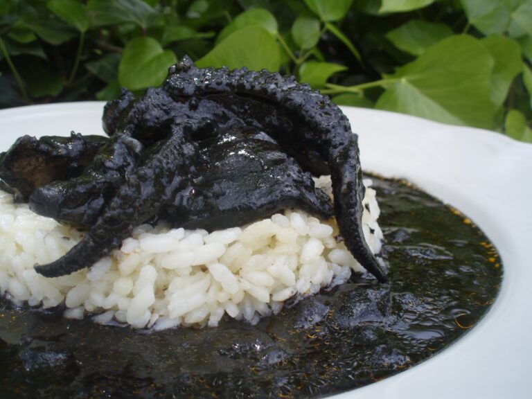 Tradición milenaria: receta gallega de chocos en su tinta
