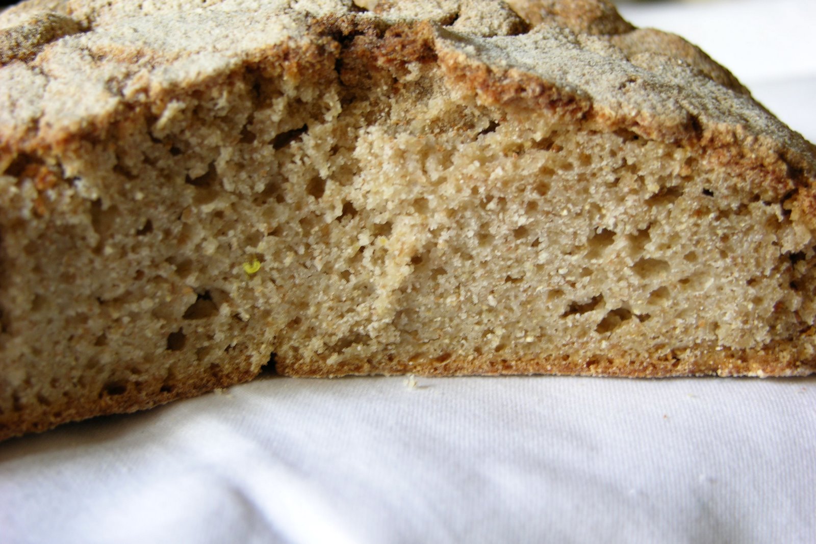 Prueba la tradición y el sabor único del pan de maíz gallego, delicia de la gastronomía regional