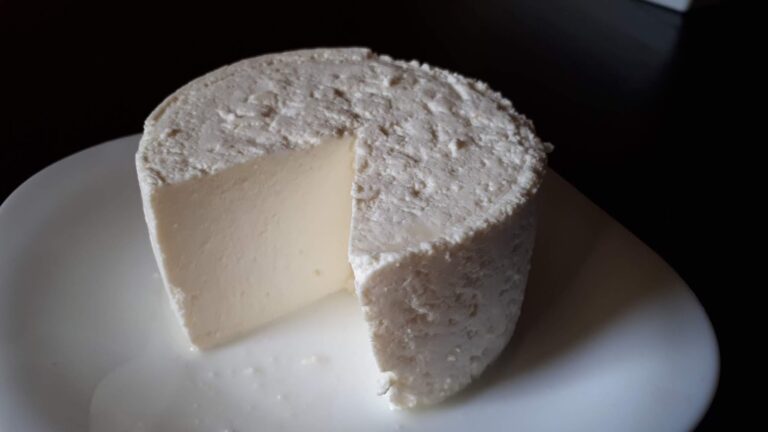 Guía completa sobre cómo hacer queso en casa